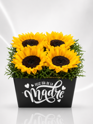 Dia de las Madres-Box Girasol especial madre