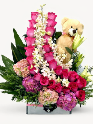 Nacimiento - Nacimiento especial Niña