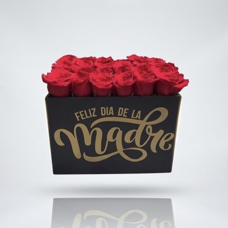 Dia de las Madres-Arreglo madre T3