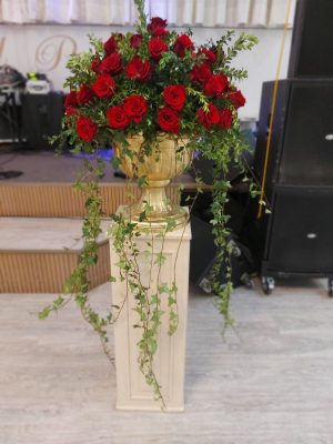 Pedestales/ Eventos / Inauguración  M-36