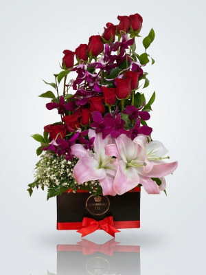 Amor – Aniversario – Rosas Especial