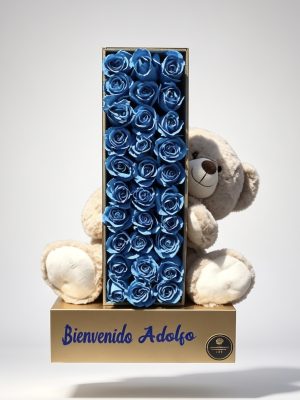 Nacimiento - Letra personalizada