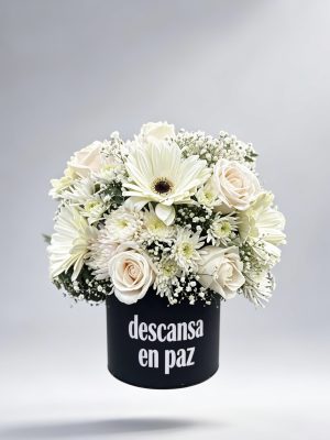 Fúnebre - Box para Cremación