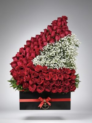 Maxi Arreglo de cumpleaños
