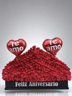 Maxi Arreglo Ocasión de Rosas