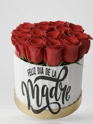 Dia de las Madres - Box Madre De 12 Rosas Personalizado