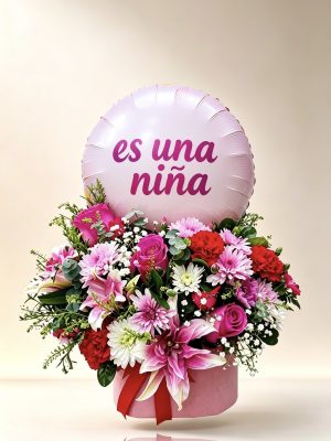 Nacimiento - Nacimiento especial Niña T1