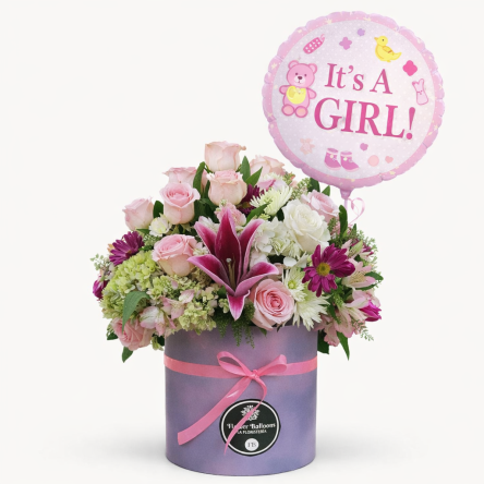 Nacimiento – Arreglo Nacimiento Niña