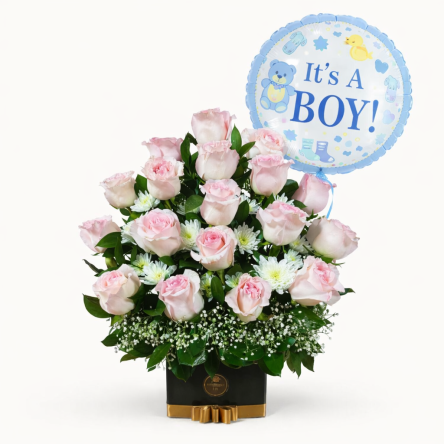 Nacimiento – Borneo Niño