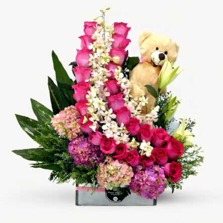 Nacimiento – Nacimiento especial Niña