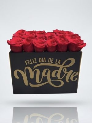 Dia de las Madres-Arreglo madre T3