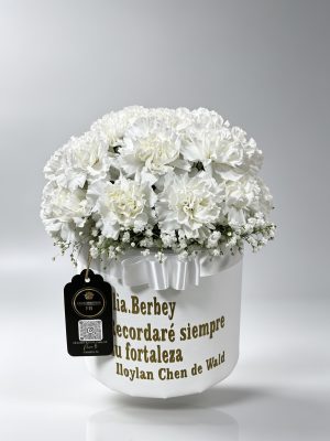 Funerario - Box Para Cremación